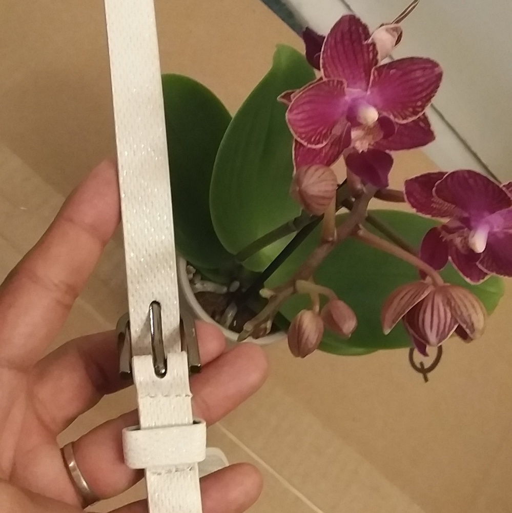 White Glittery Belt